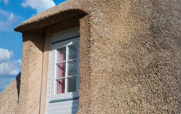 Holdsworth thatch roof disadvantages